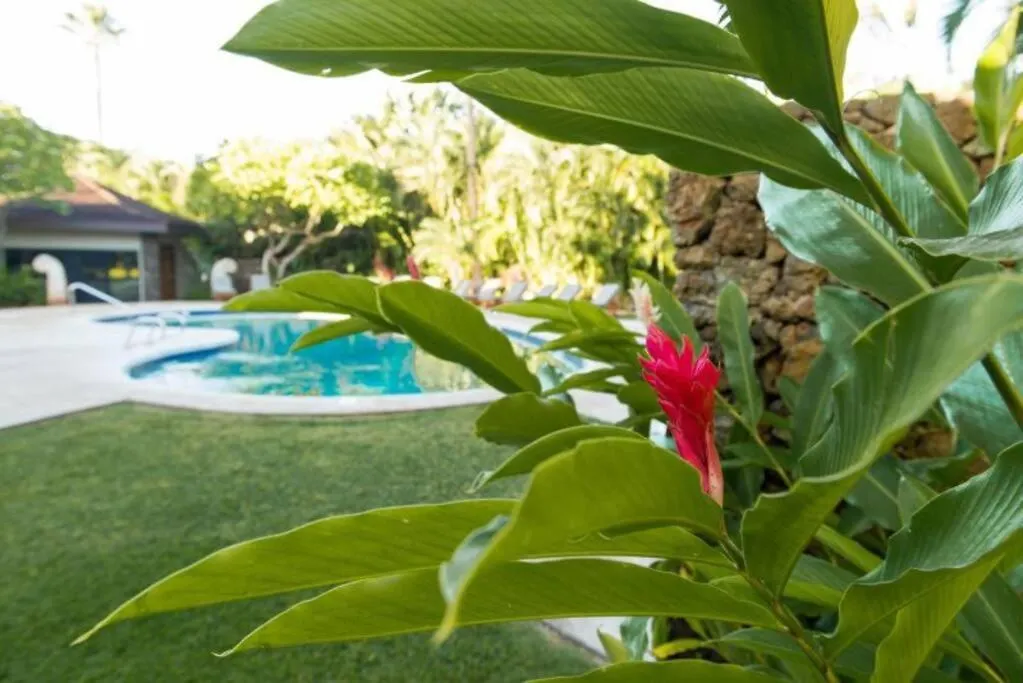 Gorgeous Condo 2 Blocks From The Heart Of Maui Lahaina Apartment
